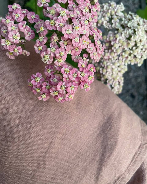 Apricot Blush