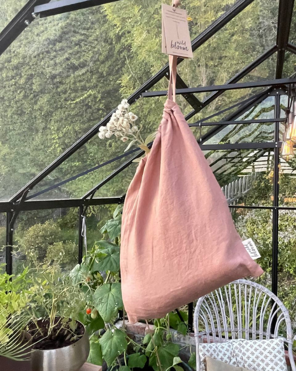 Apricot Blush