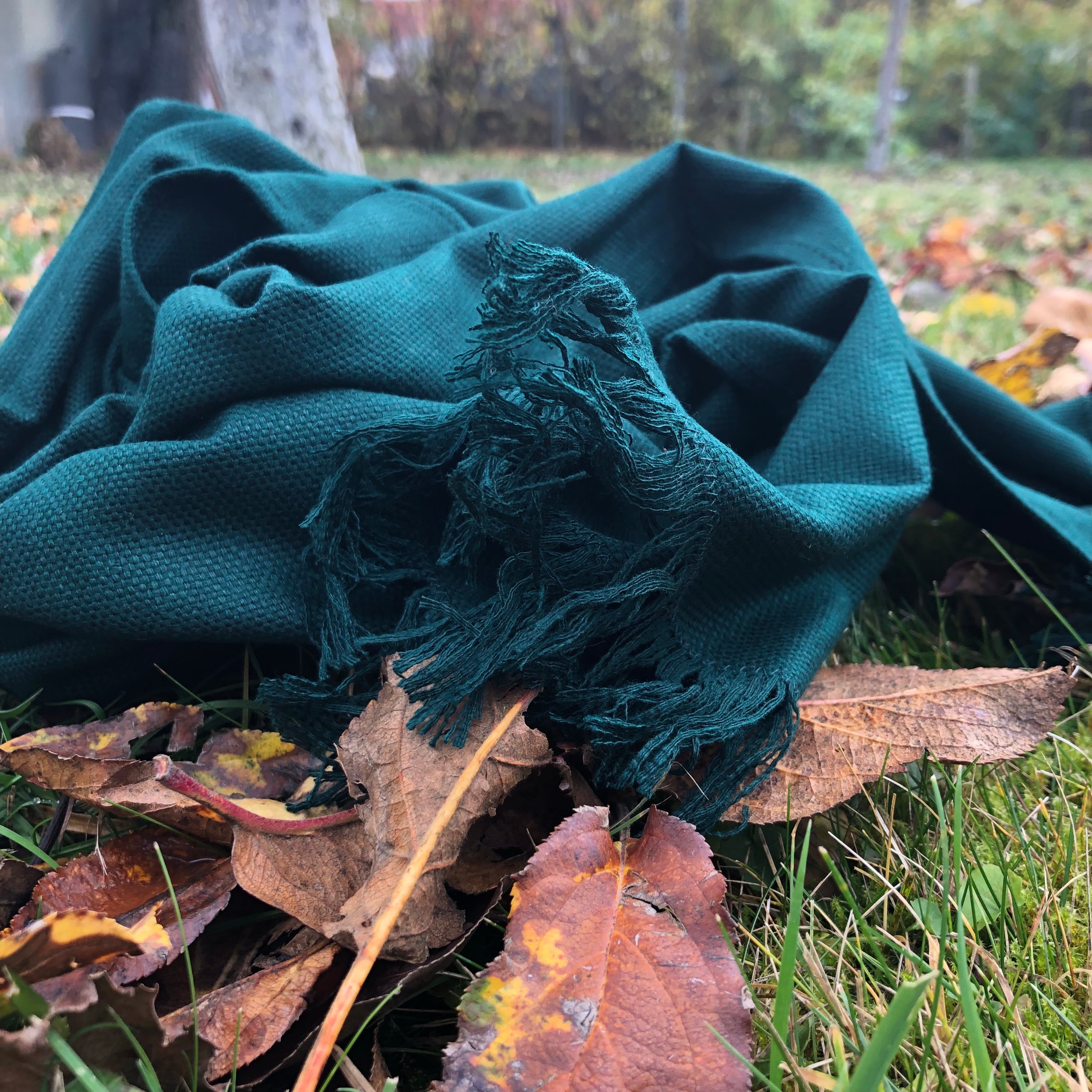 Silky Scarves - Pure Wild Silk